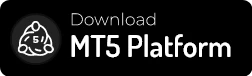 mt5 platform